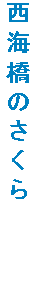 Ĉ@@@@
