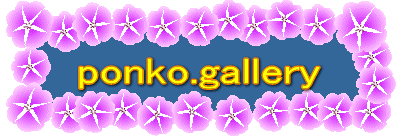ponko.gallery